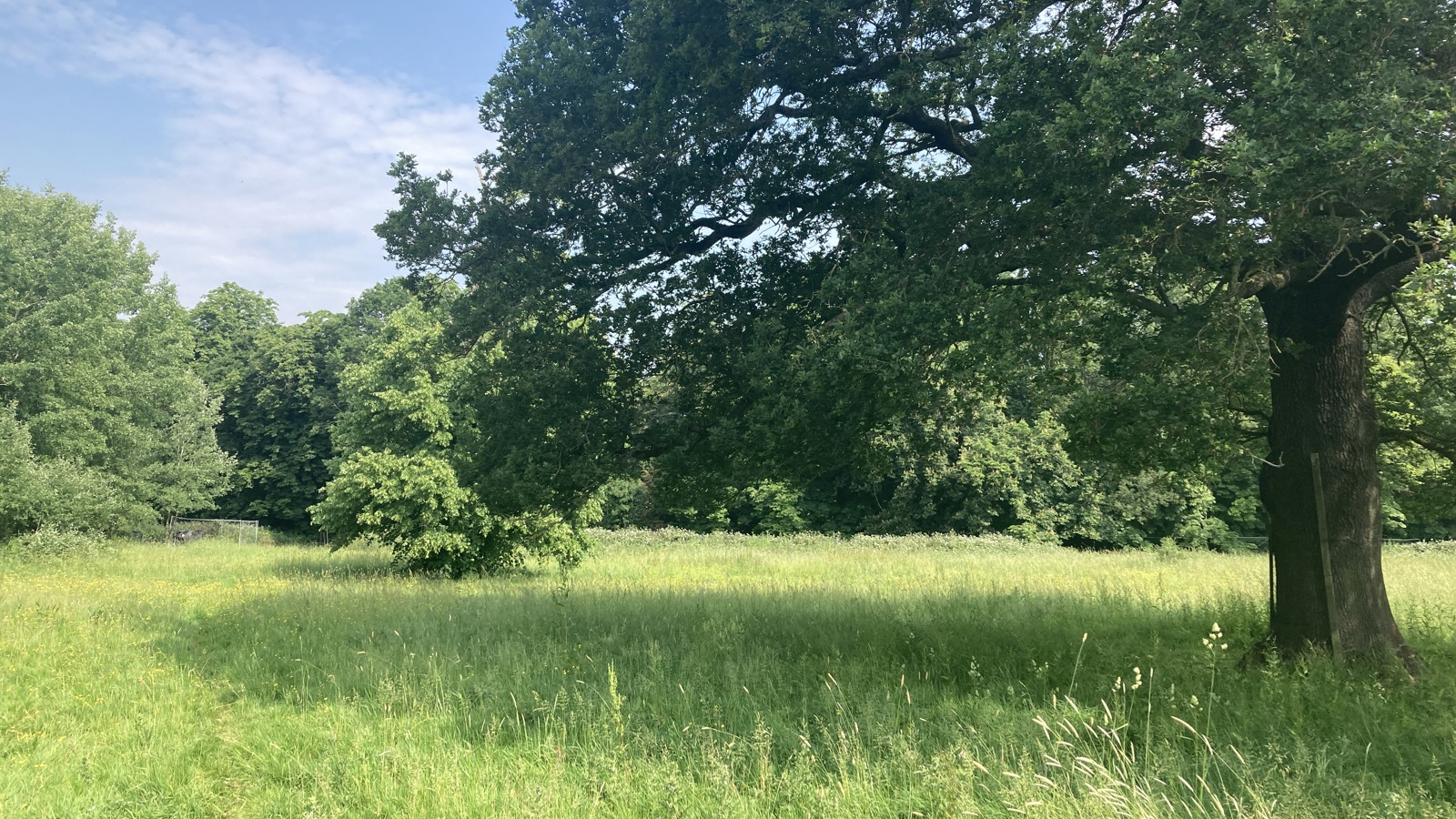 Image of Aldenham Estate - Home Farm - South Fields (2)