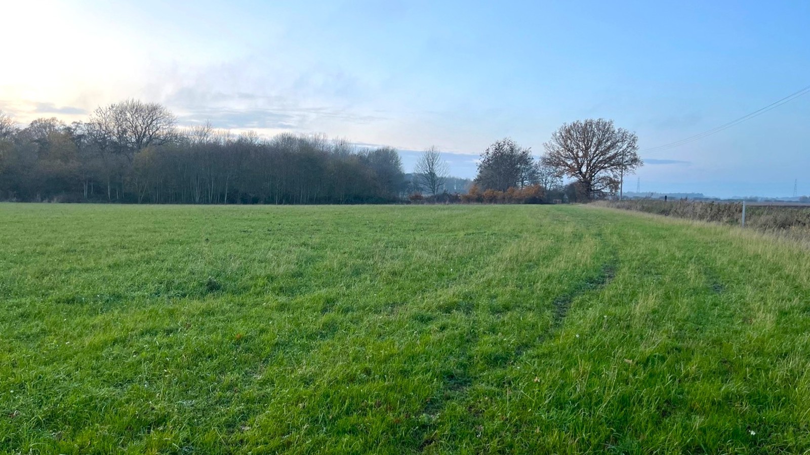 Image of BNG Ings Lane 1