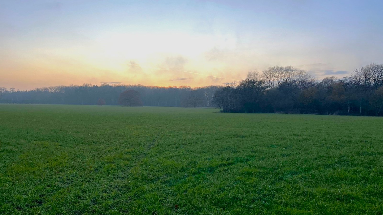 Image of BNG Ings Lane 2