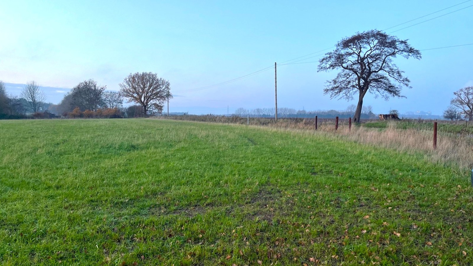 Image of BNG Ings Lane 5