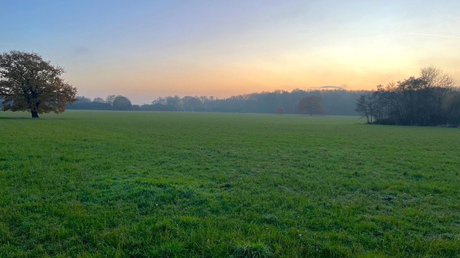 Image of BNG Ings Lane 6