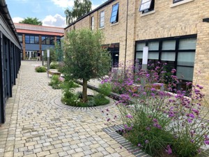  Cambridge,  Cambridgeshire,  CB1 3NA picture 1