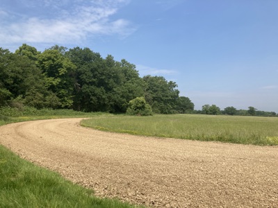 Aldenham Estate - Home Farm - North Field (3).JPG