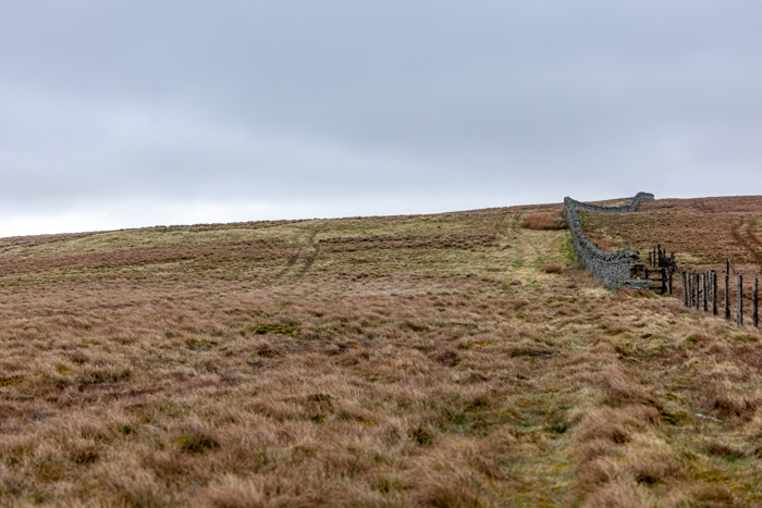 Image of Swinhope Head - EG - 25 -1