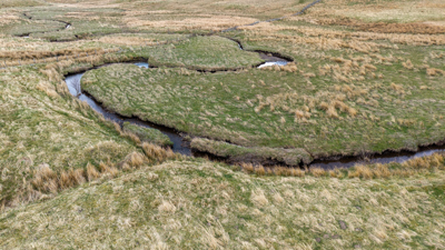 Image of Swinhope Head - EG - 25 -47