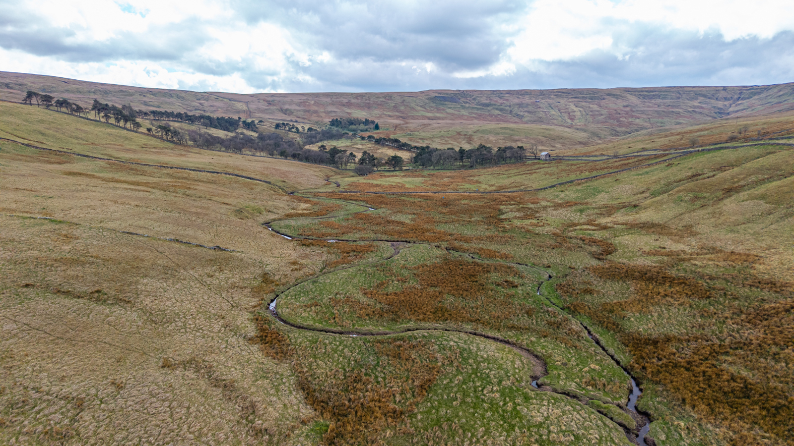 Image of Swinhope Head - EG - 25 -56