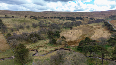 Image of Swinhope Head - EG - 25 -59