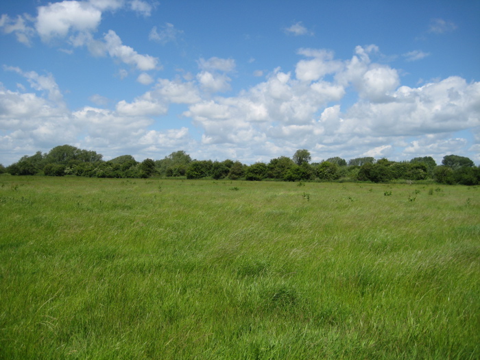 Image of Duxford 2