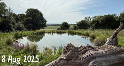 Image of Pond - before and after (002)