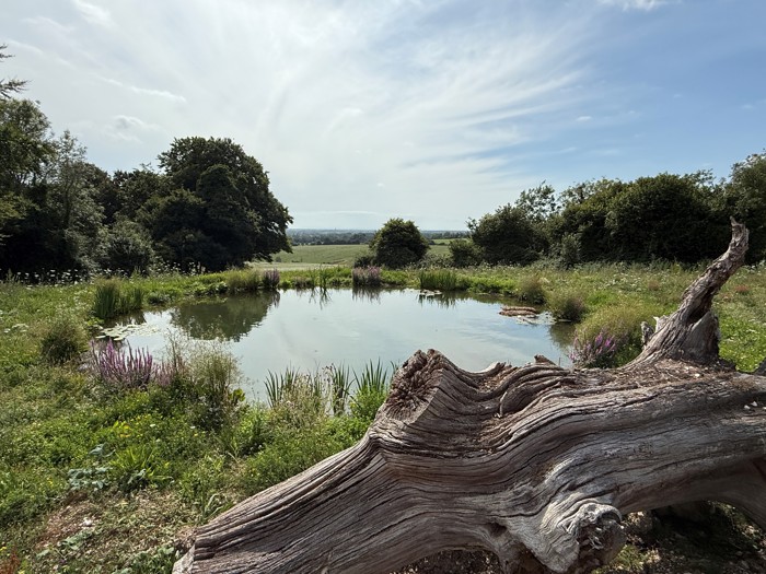 Image of Pond