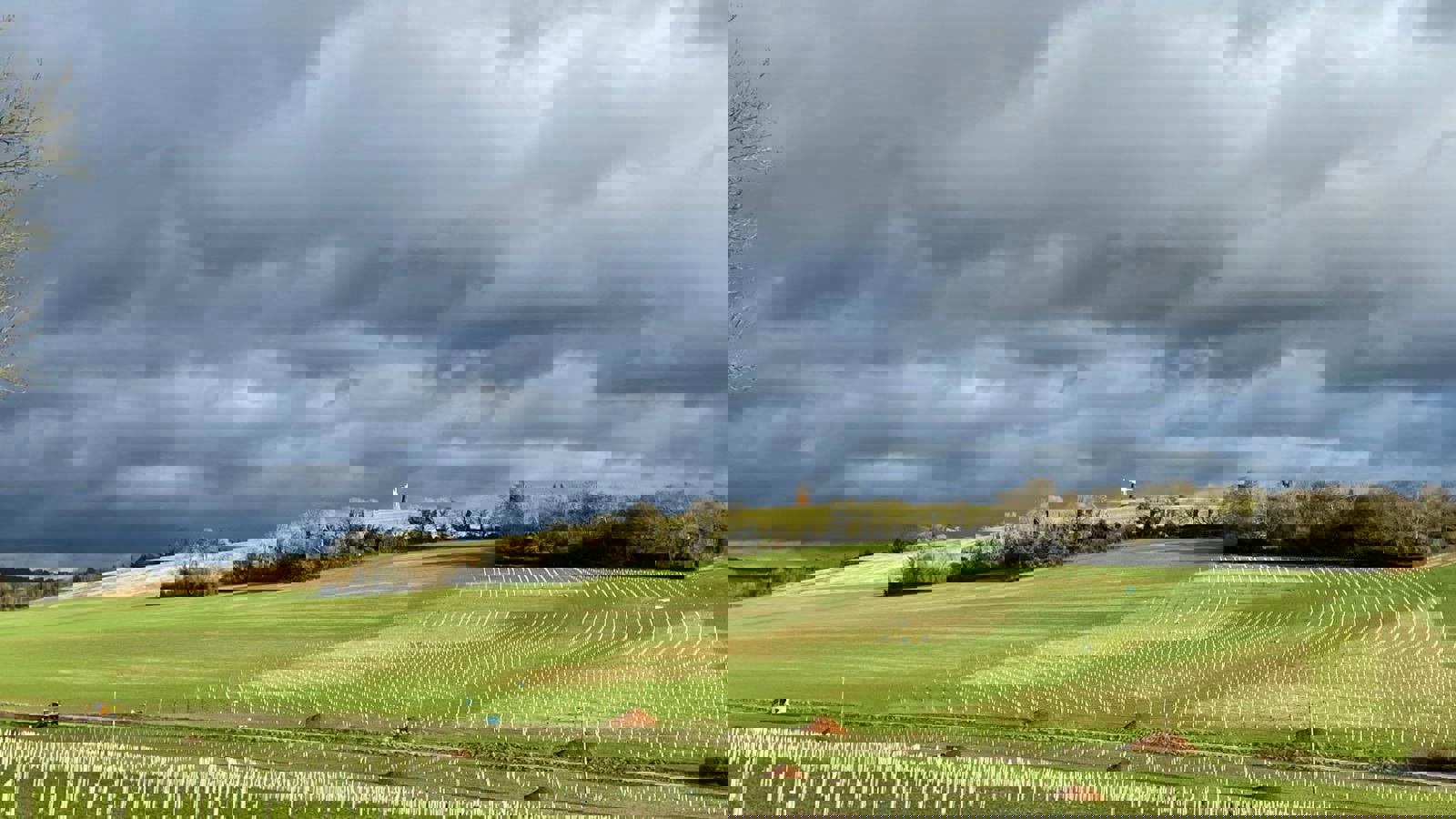 Image of Progress so far 7