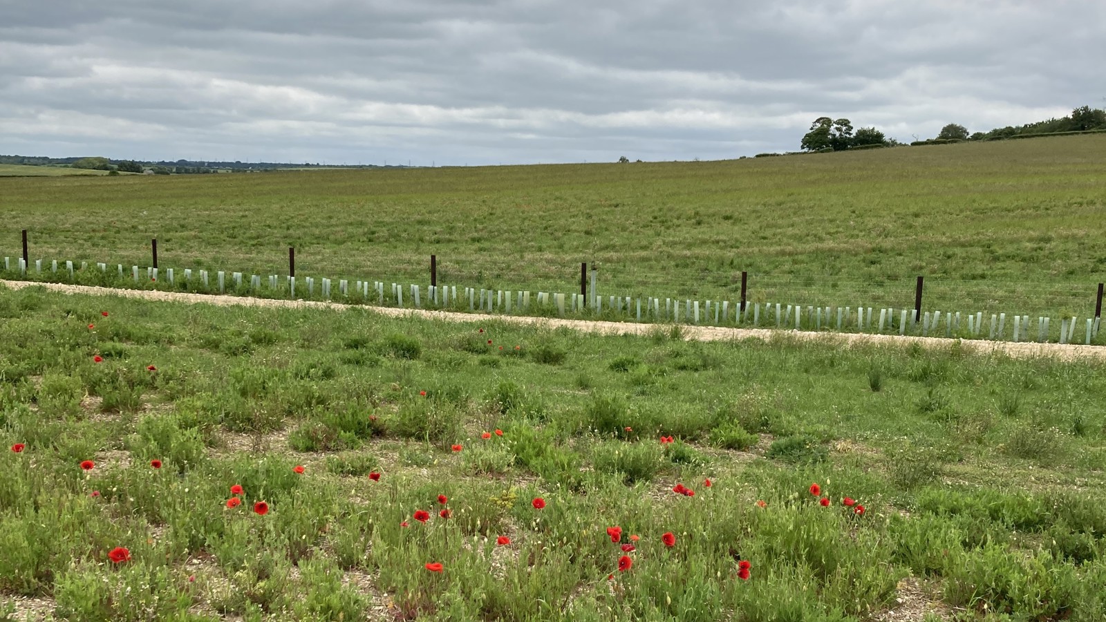 Image of lower-valley-farm-3