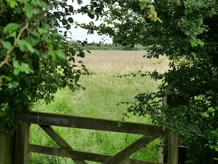 Image of Ludgershall Meadows 1