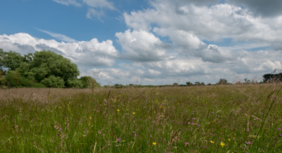 Image of Ludgershall Meadows 2