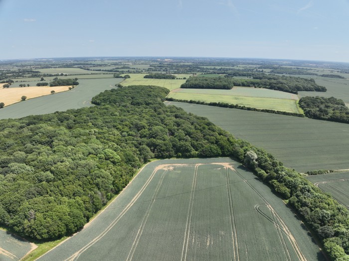 Image of DJI_20250613125056_0006_V