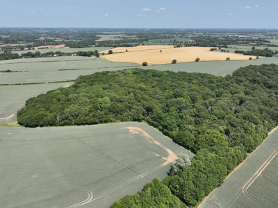 Image of DJI_20250613125811_0029_V