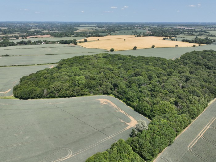 Image of DJI_20250613125811_0029_V