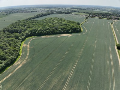 Image of DJI_20250613144417_0005_V