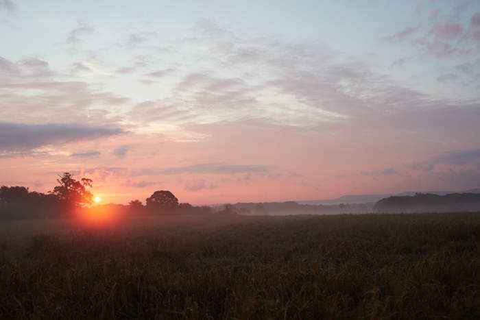 Image of MorningLandscape_015