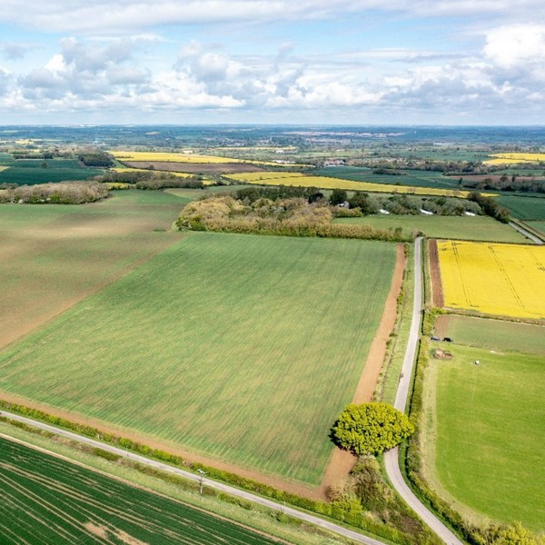 Organic arable land achieves 15% over the guide price