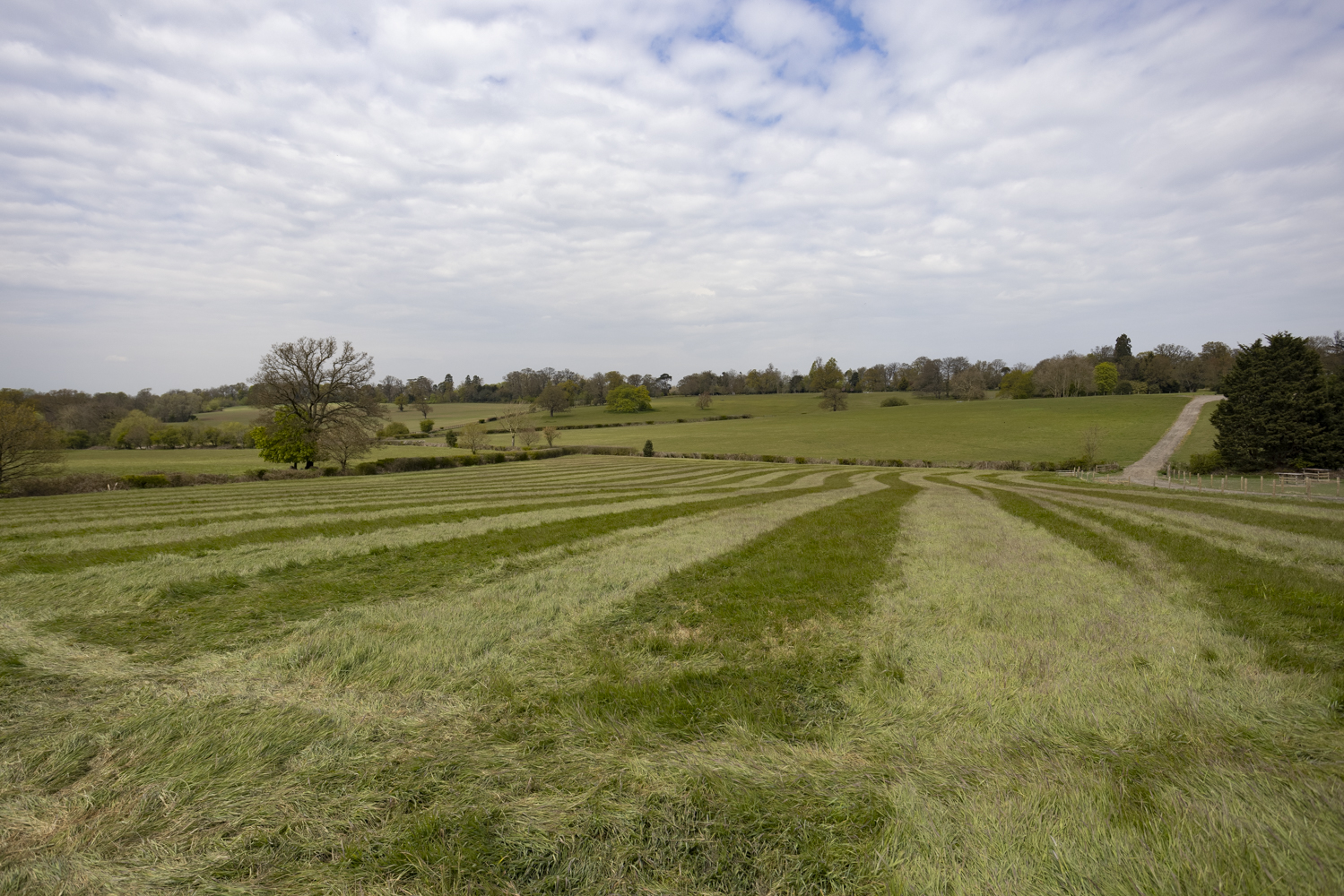 Strategic search and acquisition of nature reserves and farmland in the home counties
