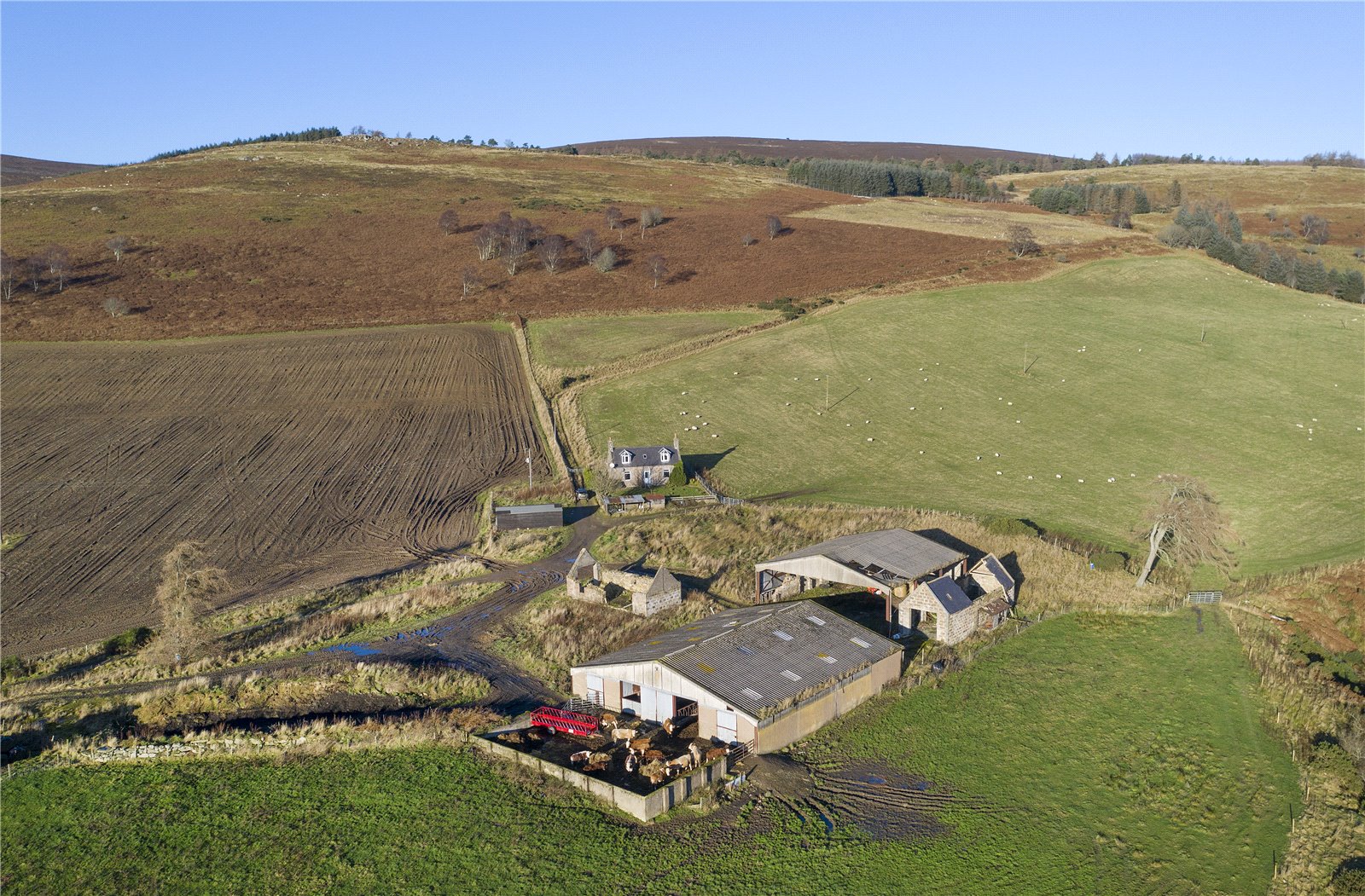 Torphins, Banchory picture 3