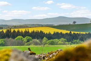 Dunecht, Westhill picture 3