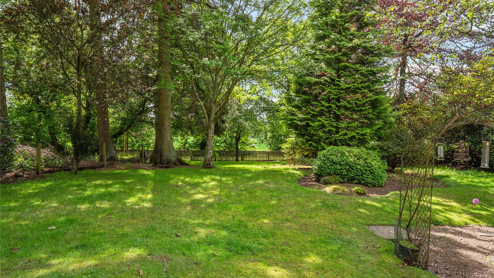 Lot 5 Garden (01).jpg Lot 5 Garden (01)