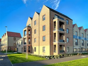 Cambridge, CB1 3FT picture 1