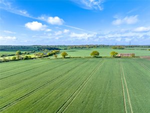 Sampford Hall Lane, Little Sampford picture 1