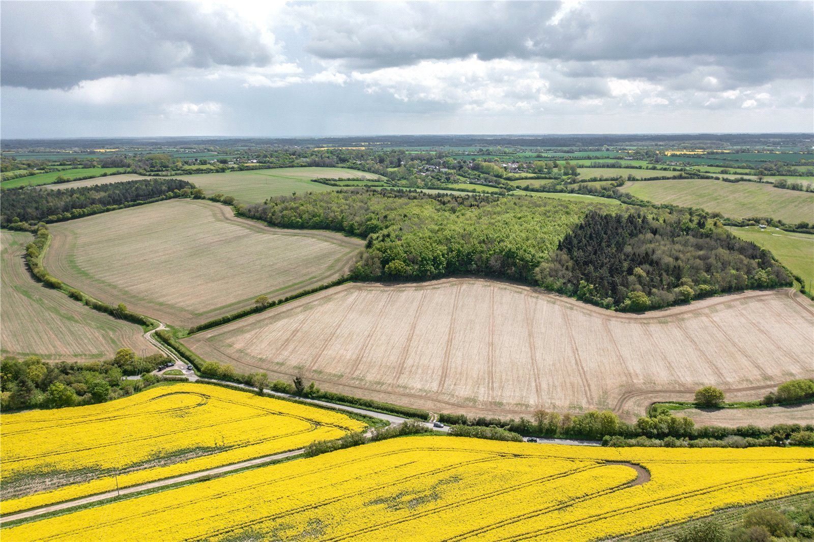 Sewards End, Saffron Walden picture 6