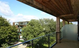 Aberdeen Avenue, Cambridge picture 5