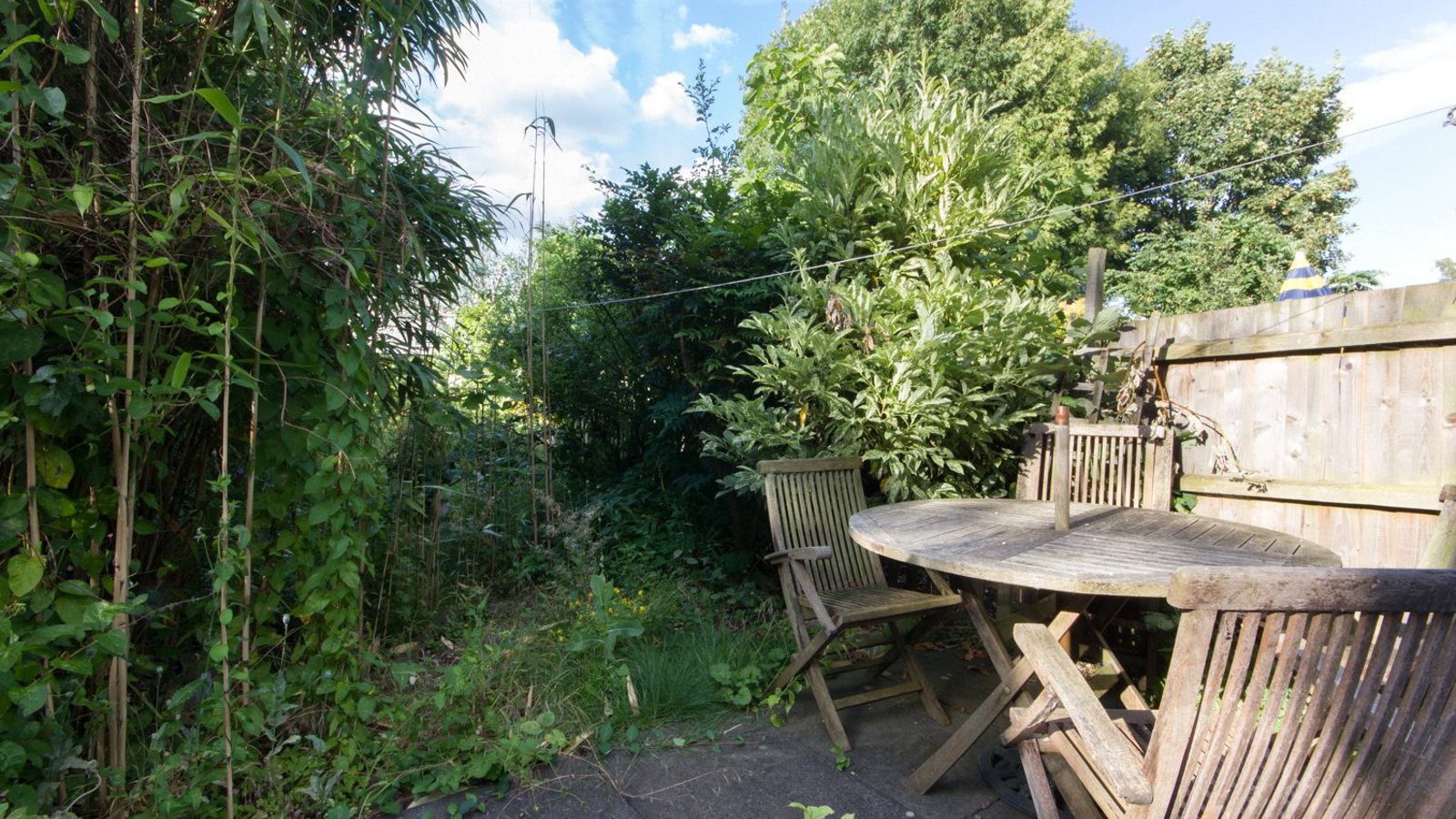 Garden.jpg Garden