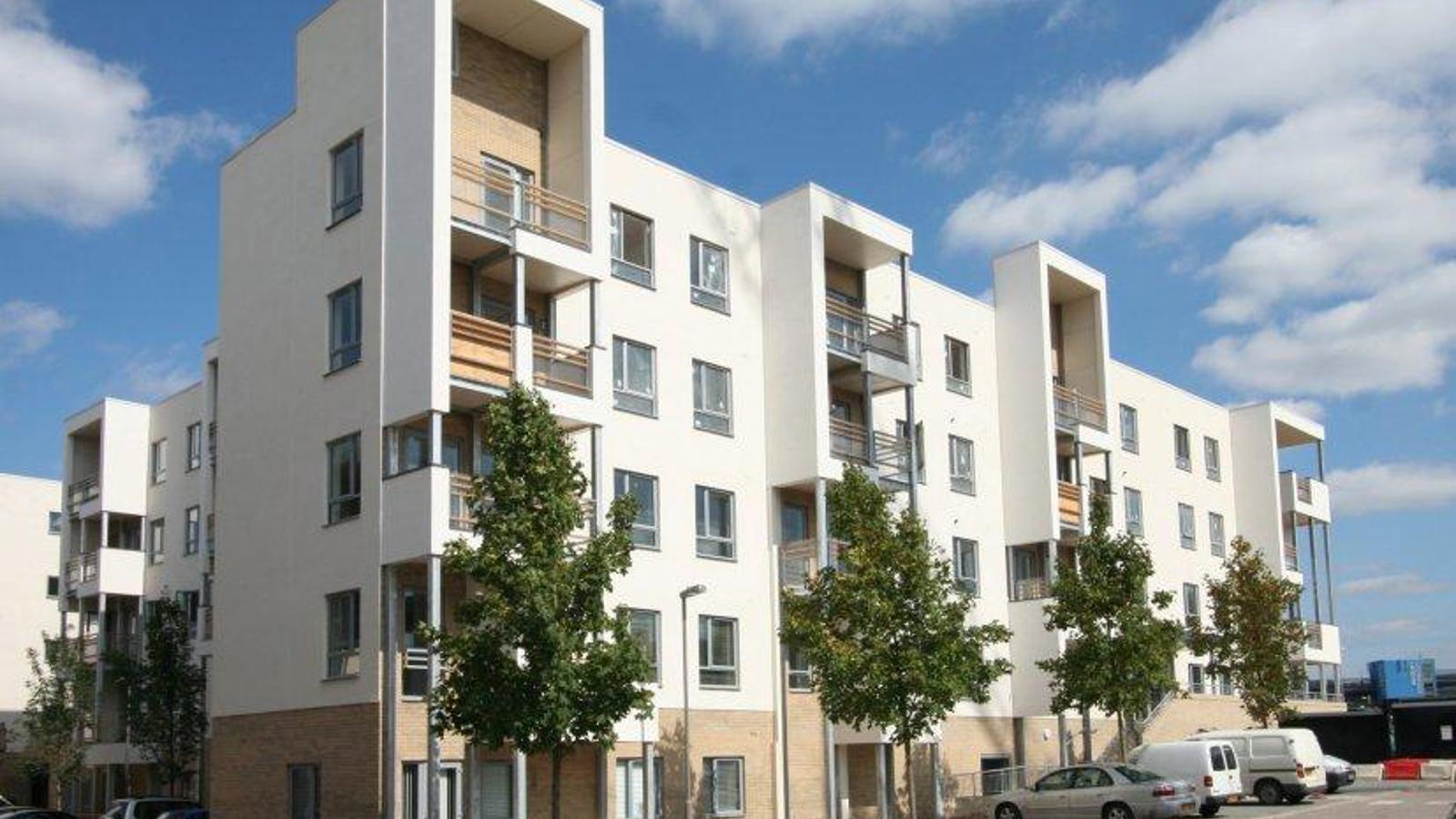 Picture No.11.jpg Picture No.11