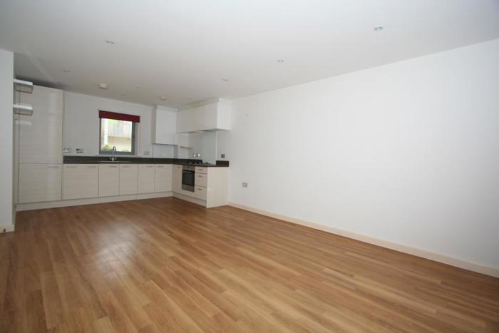 Kitchen/Living1.jpg