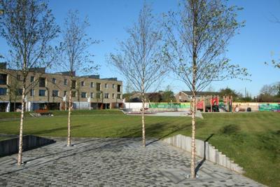 Garden3.jpg