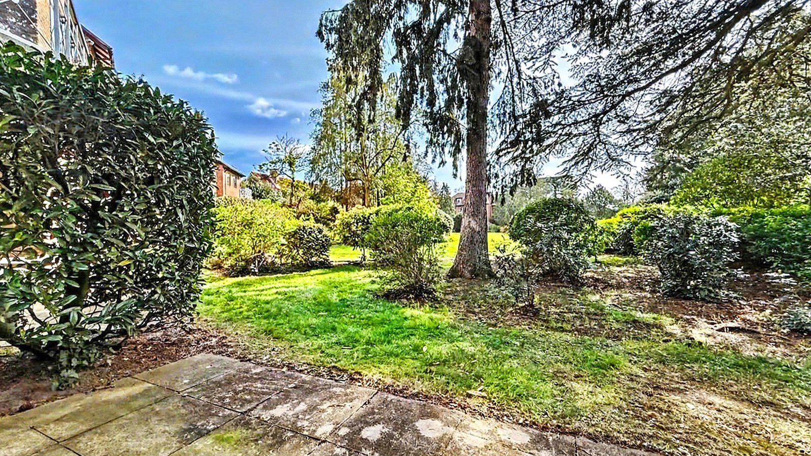 Picture No. 13.jpg Picture No. 13