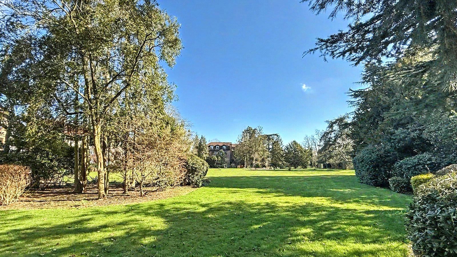 Picture No. 16.jpg Picture No. 16