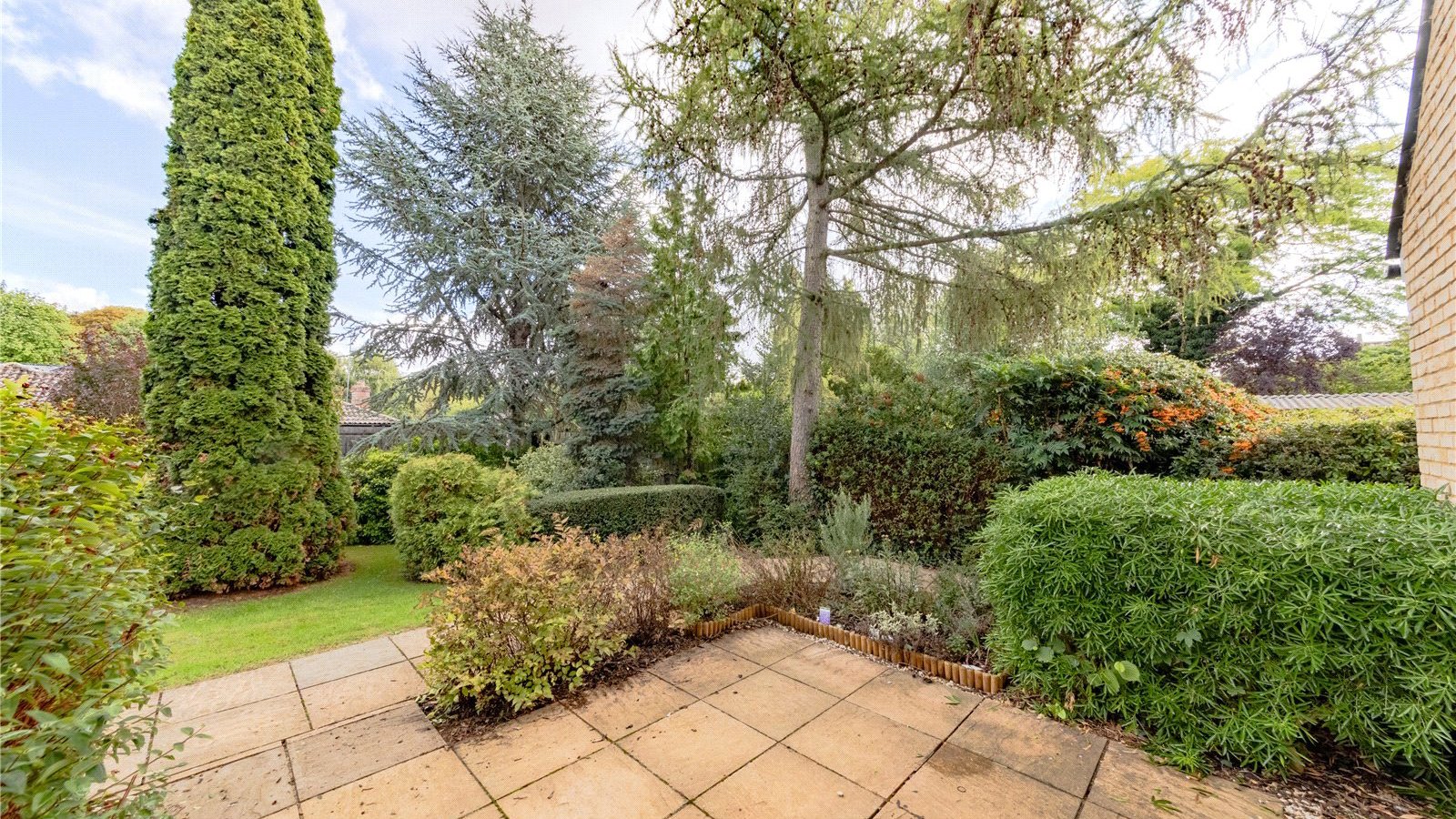 Picture No. 11.jpg Picture No. 11