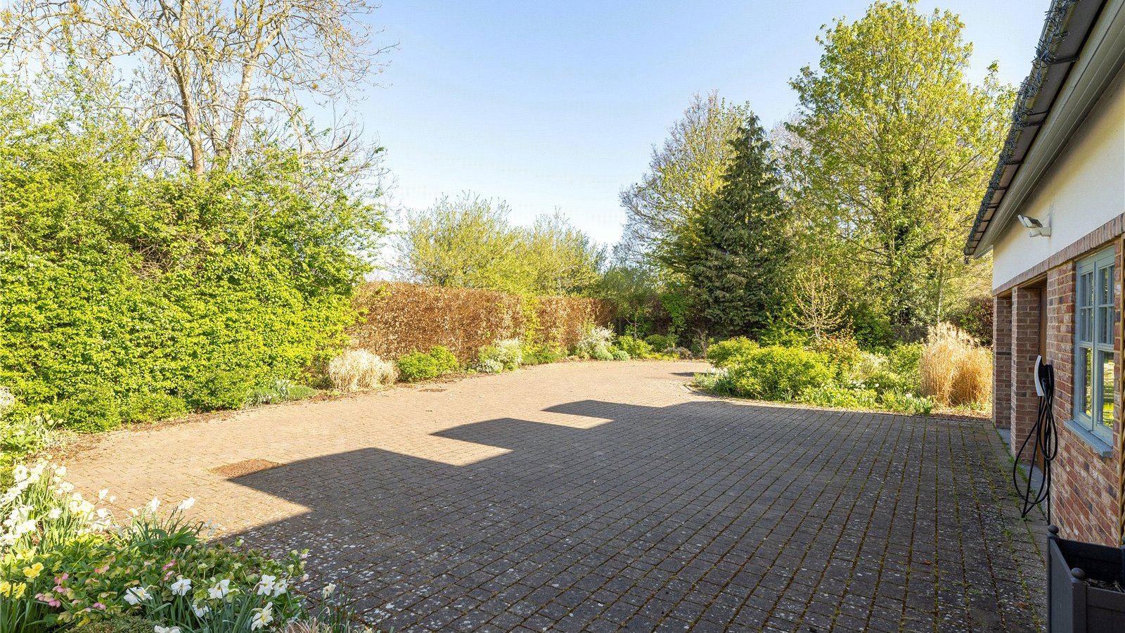 Picture No. 04.jpg Picture No. 04