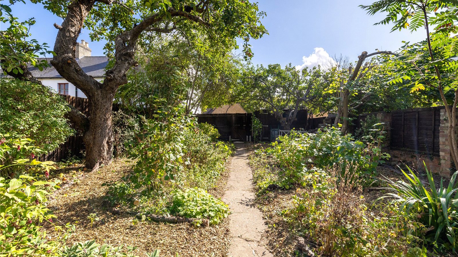 Picture No. 27.jpg Picture No. 27