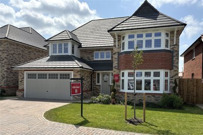 Plot 211
