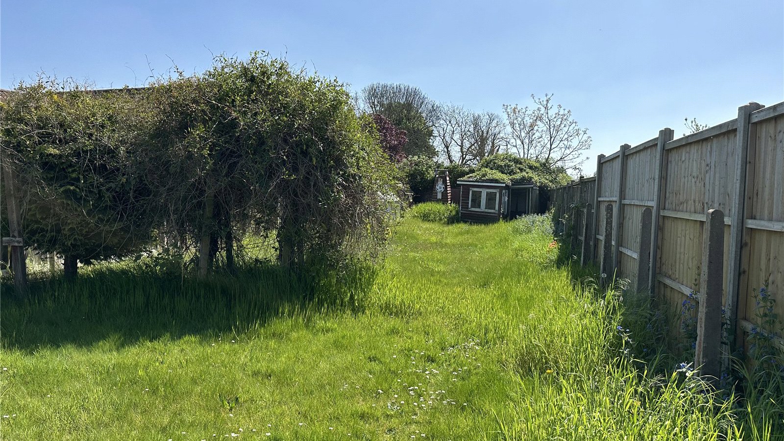 Picture No. 06.jpg Picture No. 06