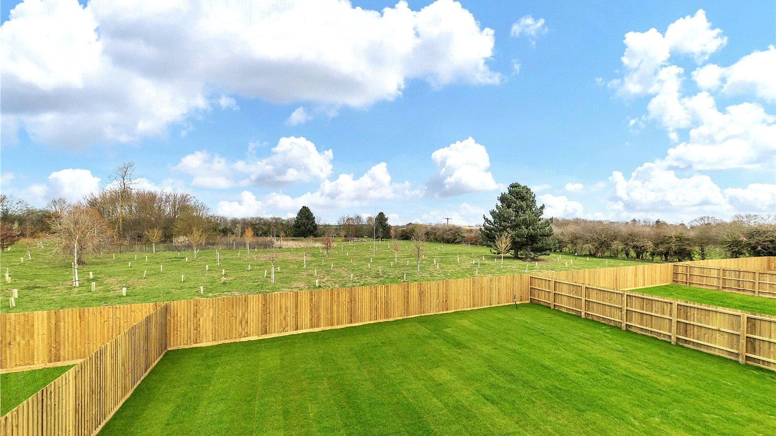 Picture No. 11.jpg Picture No. 11