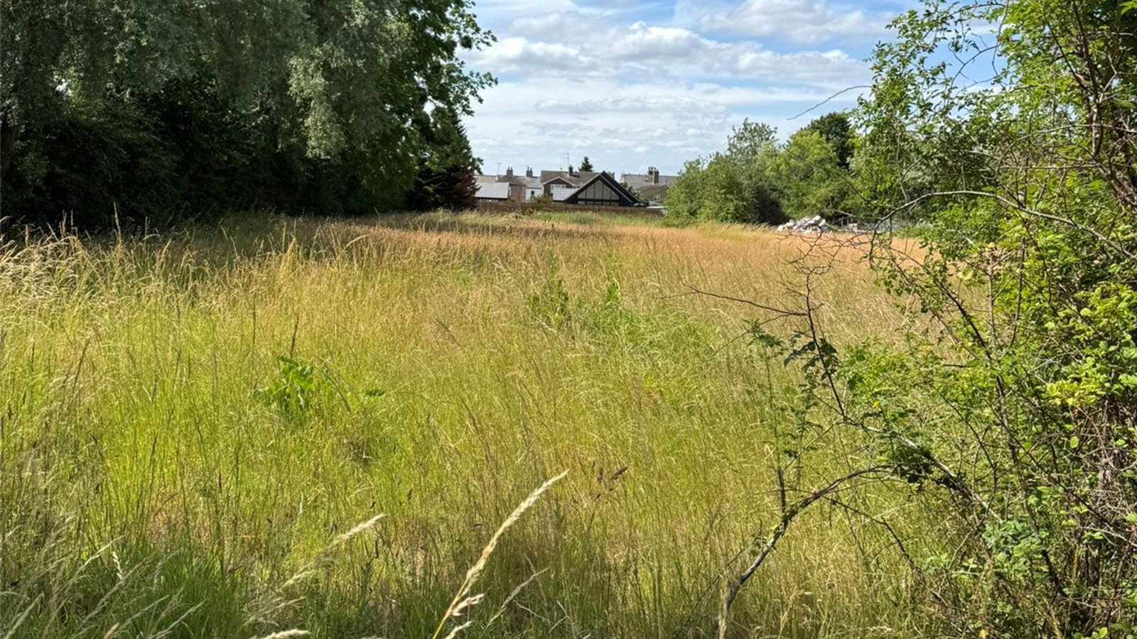 Picture No. 03.jpg Picture No. 03