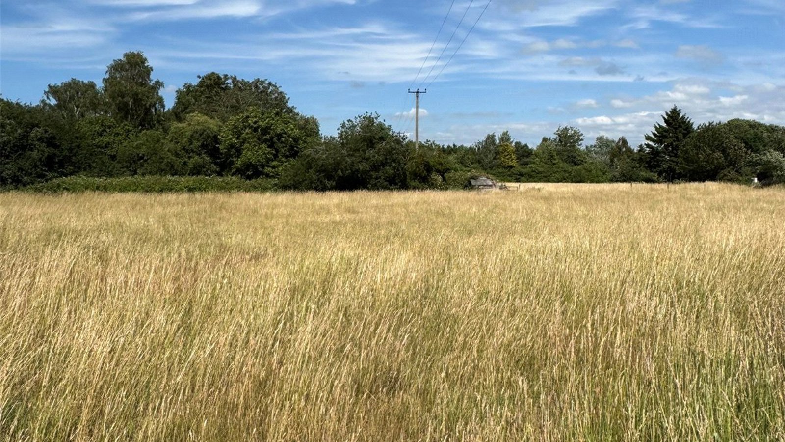 Picture No. 05.jpg Picture No. 05