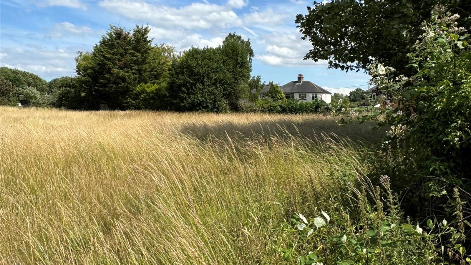 Picture No. 06.jpg Picture No. 06