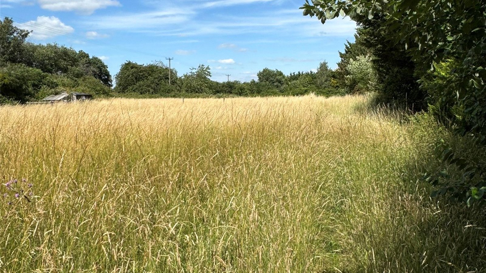 Picture No. 08.jpg Picture No. 08