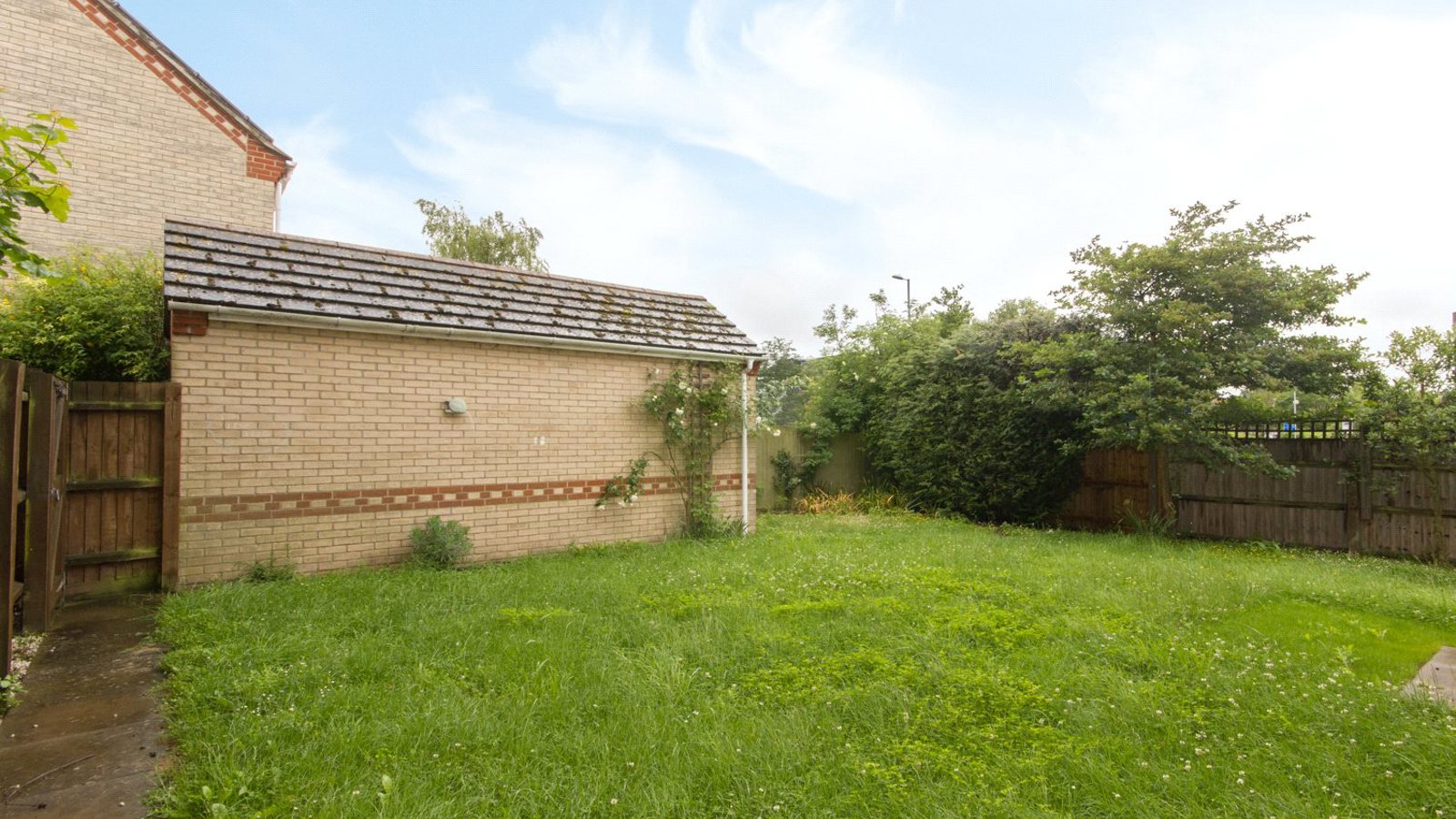 Garden.jpg Garden