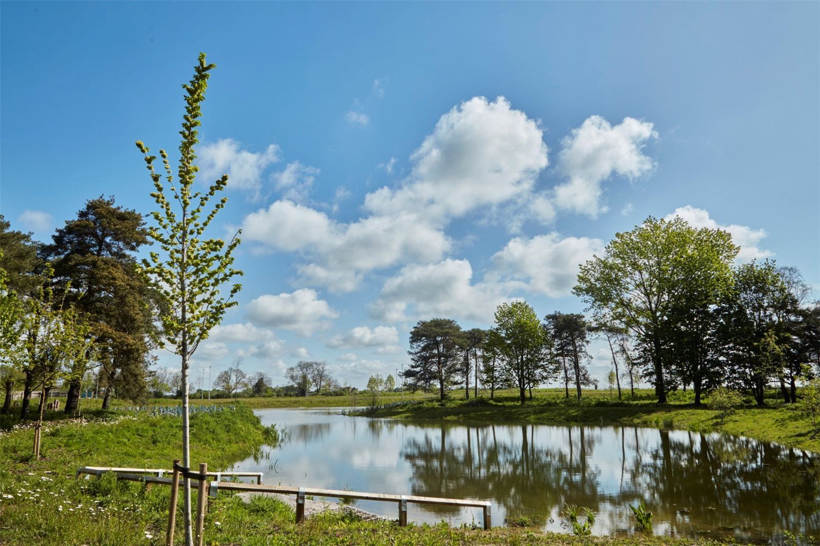 Stonebond At Waterbeach, Waterbeach picture 3